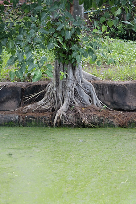 44-Prasat Muang Khao-016